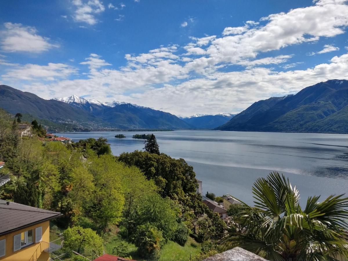 Garden Hotel Primavera Brissago Exterior photo